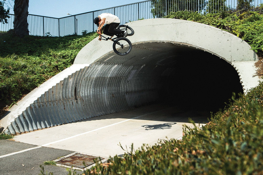 SLIP-ON PRO BMX DE DAKOTA ROCHE